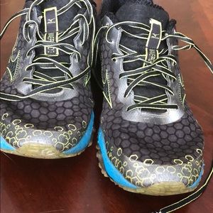 Mizuno wave prophecy